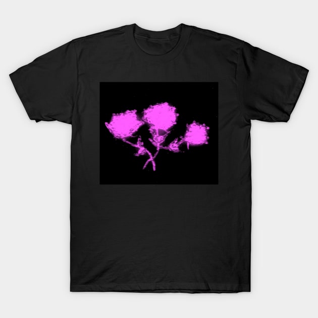 PINK GLASS ROSES T-Shirt by neilstuartcoffey